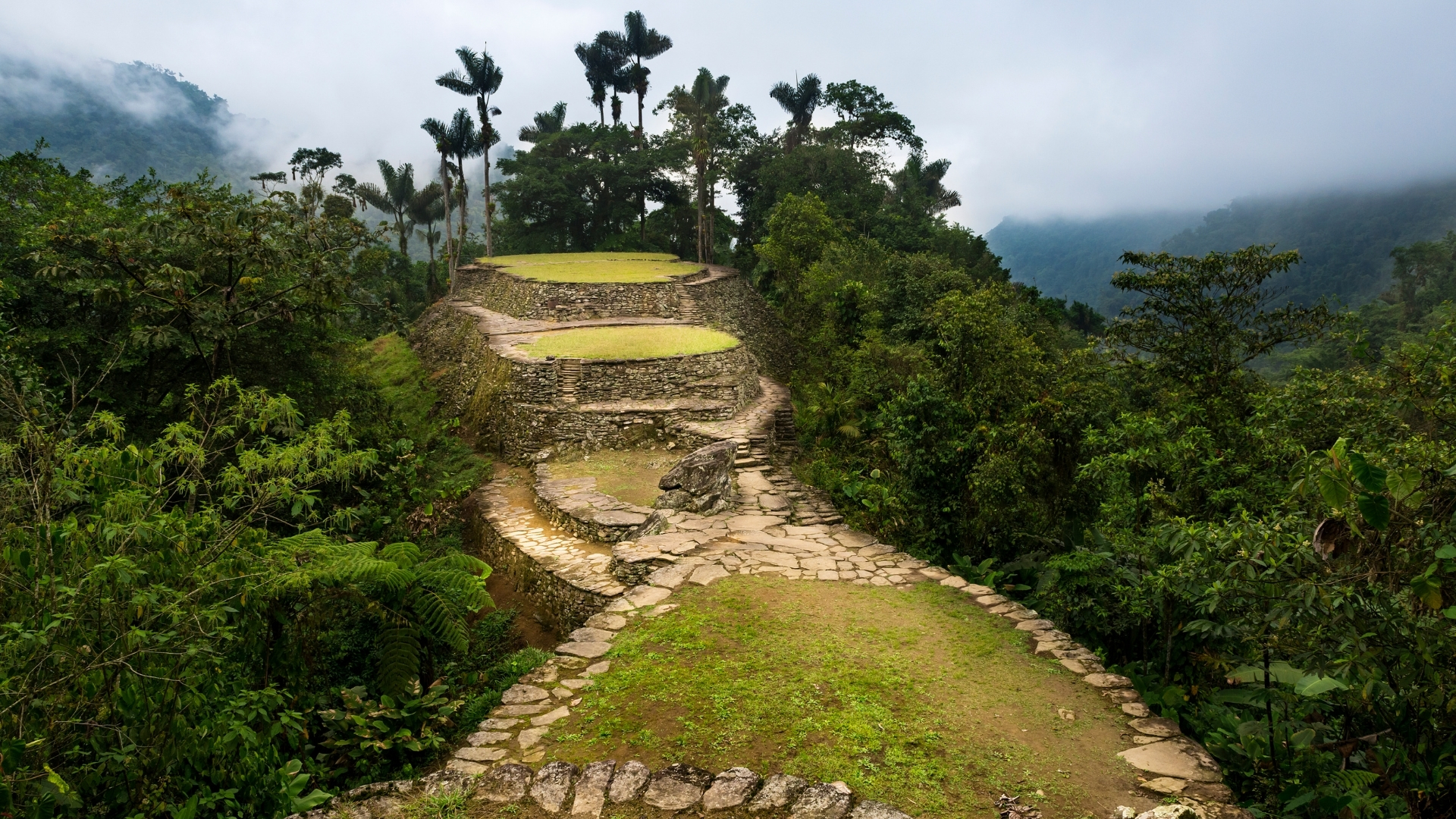 Lost City - Sierra de Santa Marta - Colombia