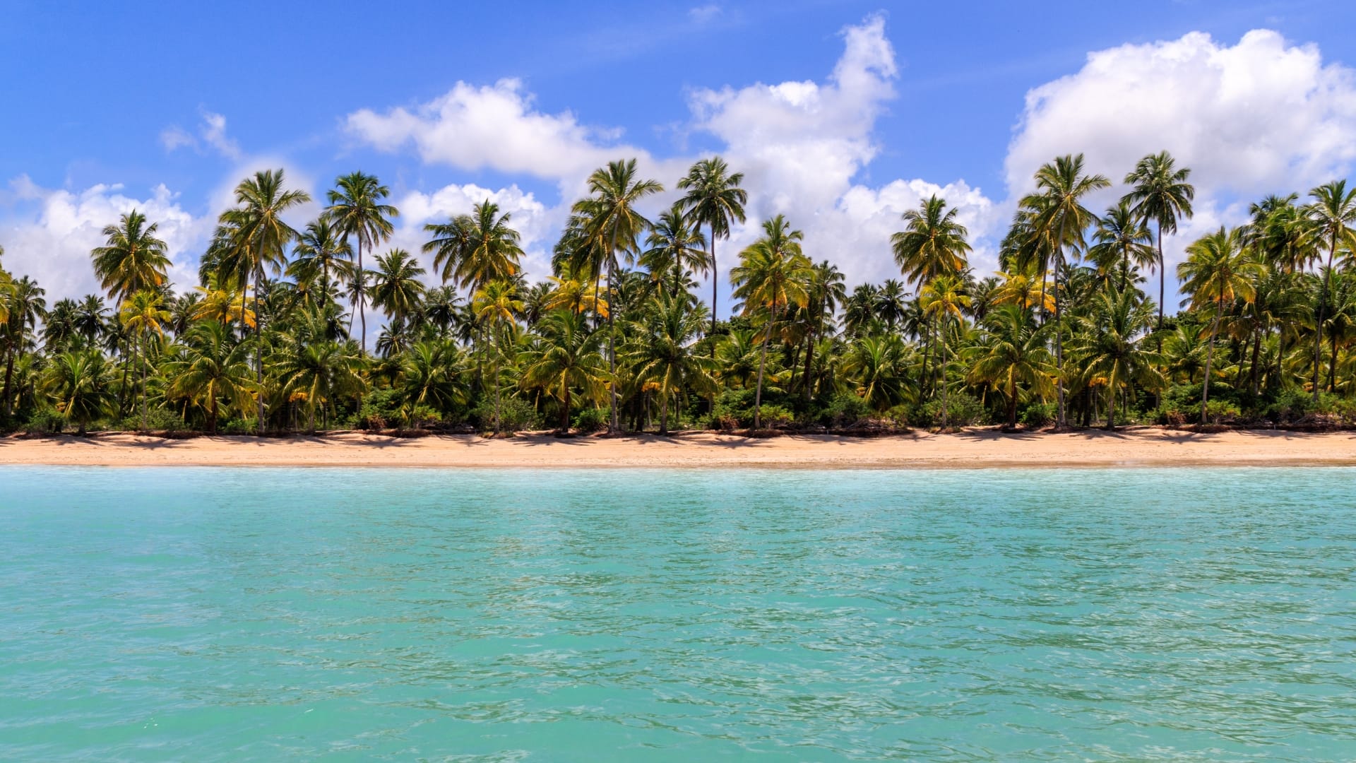 Maragogi, Alagoas, Brazil