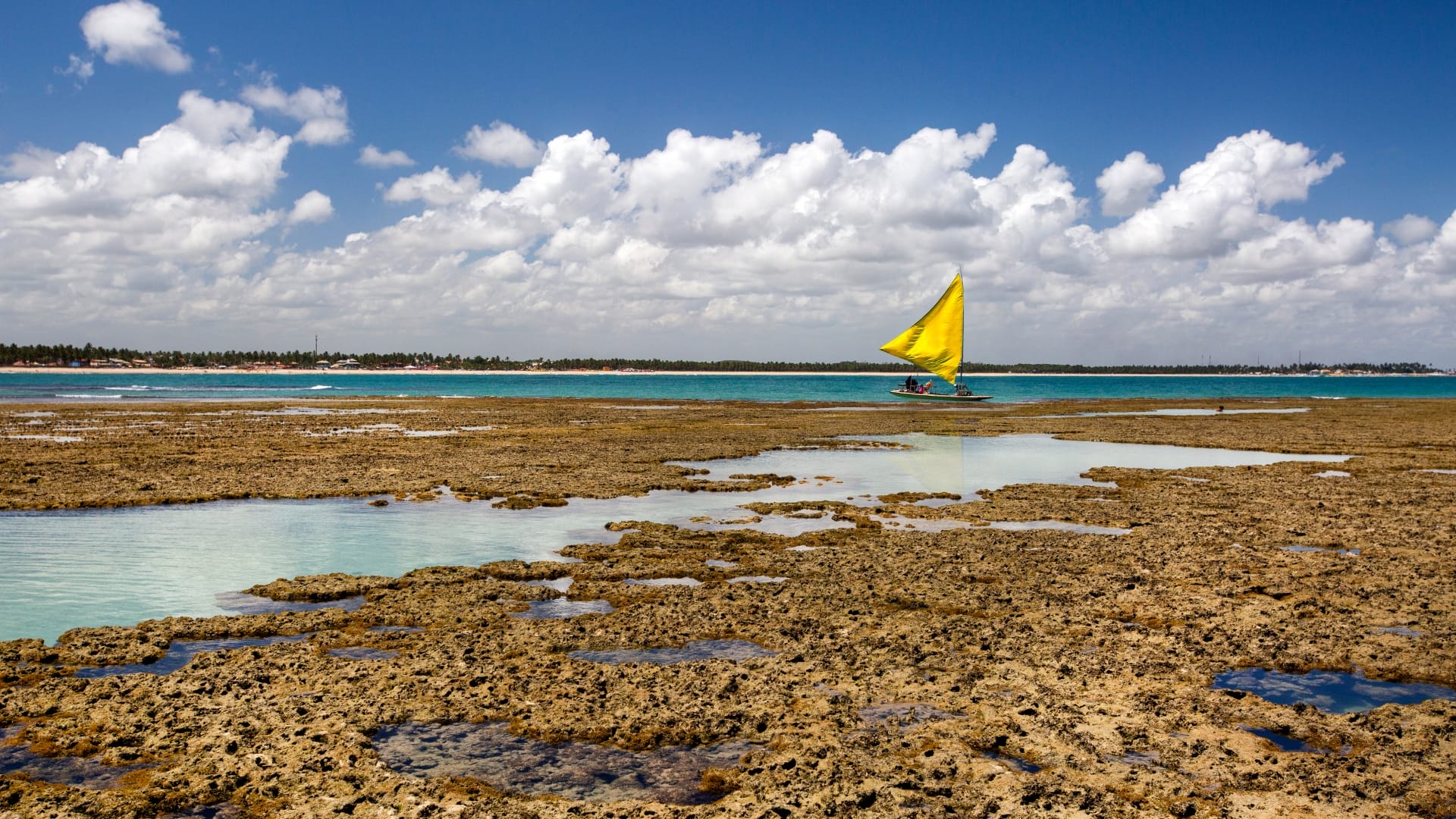 Natural Pool in Porto de Galinhas, Penambuco, Brazil