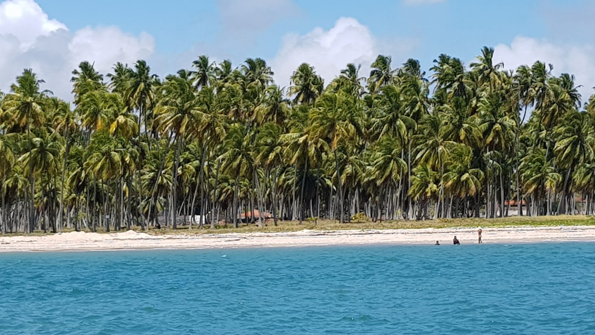 Praia dos Carneiros, Penambuco, Brazil